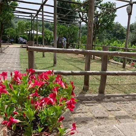 My Place & Garden Bed & Breakfast