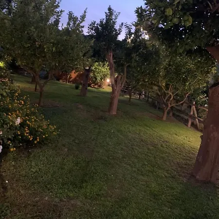 Bed & Breakfast My Place & Garden
