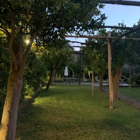 My Place & Garden
